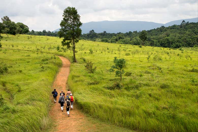 Trekking nel Parco nazionale Khao Yai