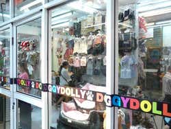 Chatuchak: un negozio per animali